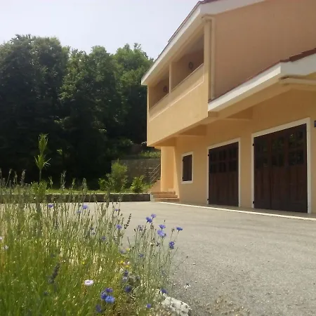 And In Nature Setting マトゥリ